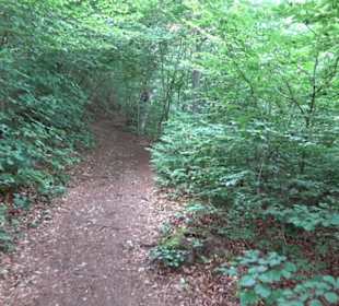 Hochgeträumt Premiumwanderung