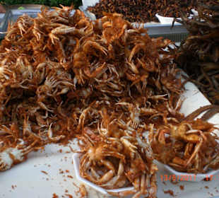 Kleine Köstlichkeiten