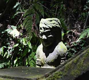Affenwald in Ubud
