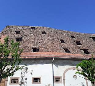 Zehntenscheuer in Wissembourg