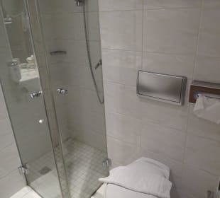 WC und Glasdusche