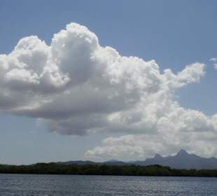 Bootstour durch die Mangrovensümpfe