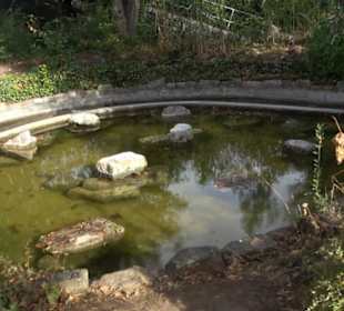 Erlebnispark Tripsdrill