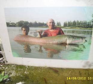 Palmiarnia w Poznaniu.