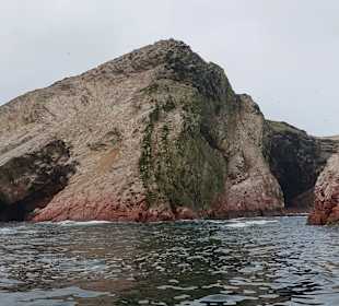 Ausflug Ballestas Inseln