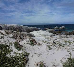 Boulders Beach