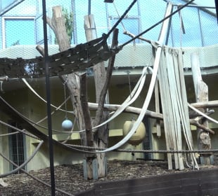 Zoo Heidelberg