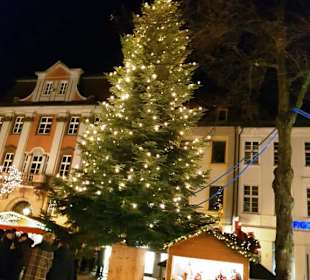 Der Weihnachtsbaum Ansbach