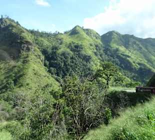 Elefantenreiten Sigiriya