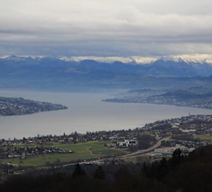 Ausblick vom Ütliberg