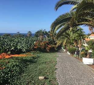 Wandern Puerto de la Cruz