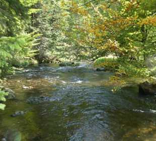 Wunderbare Wanderung am Großen Regen