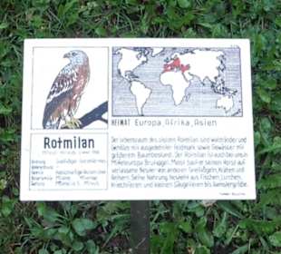 Falkenhof Rosenburg