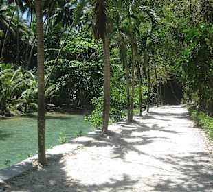Bei den Kawasan Wasserfällen