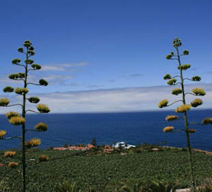 Nicht nur für Naturliebhaber schön!