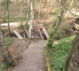 Barfußpfad Firstwald