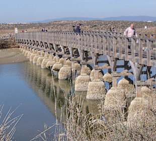 Brücke zum Naturpark