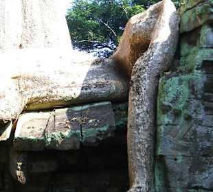 Tempio nella giungla