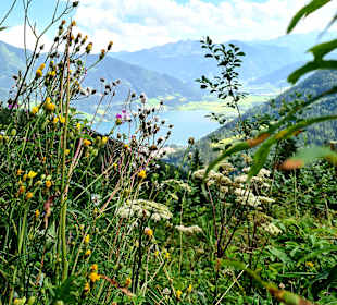 Wandern Zell am See