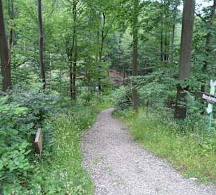 Der Weg zum Märchental