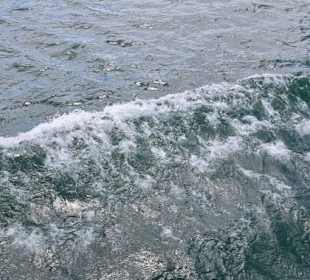 Wellen vom Boot