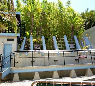 Die Velociraptoren sind ausgebrochen