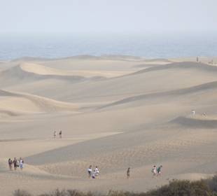 Abendliche Dünenwanderung