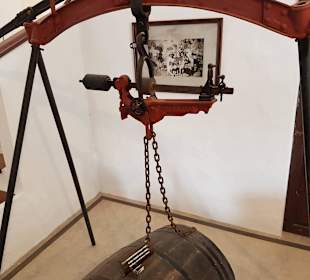 Weinmuseum und Kakteen-Ausstellung El Grifo