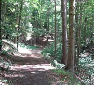 Wanderweg - Alter Steinbruch Pfaffenberg Runde