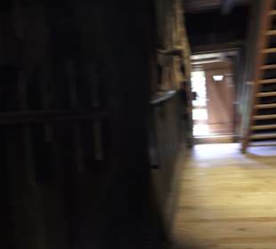 Schlössle von Effringen