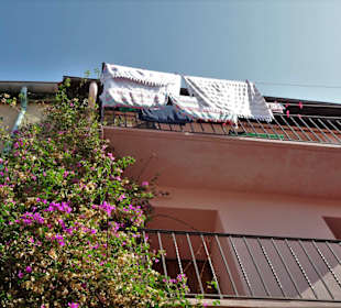 Balkone in der Altstadt von Collioure