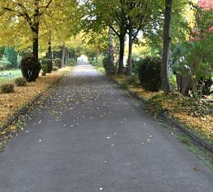 Hauptfriedhof Friedrichshafen