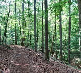 Rundgang durch den Landschaftsgarten Bettenburg