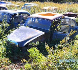 Autofriedhof am Foxen