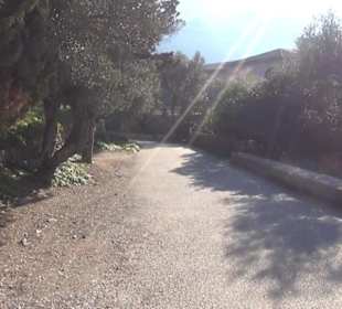 Son Marroig