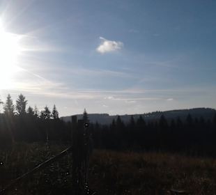 Wandern Altenberg