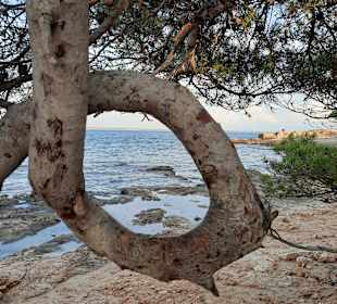Leuchtturm Colonia Sant Jordi