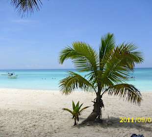 Strand Saona