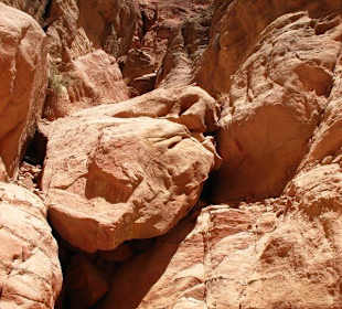 Spacer po Mieście Wykutym w Skale - Petra