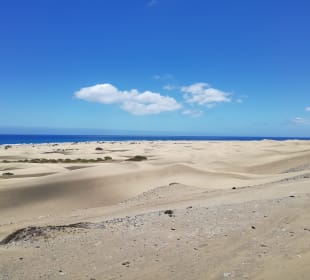 Dünen von Maspalomas