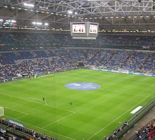 Veltins Arena