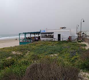 Strandbar gut besucht