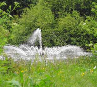 St. James´s Park Impressionen