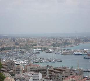Blick auf Palma und den Hafen