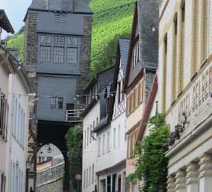 Bacharach
