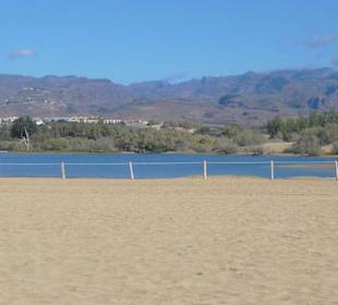 Lagune, zone protégée de nidification
