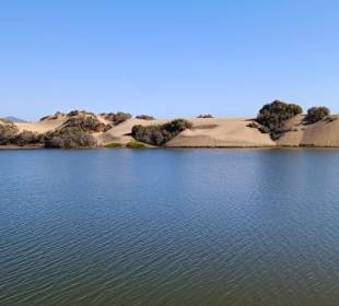 La Charca de Maspalomas