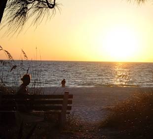 Sunset Anna Maria Island