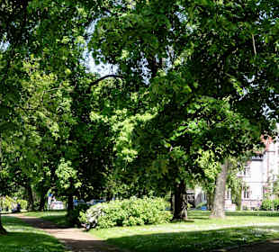 Impressionen aus den Wallanlagen