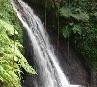 Bei den Wasserfällen